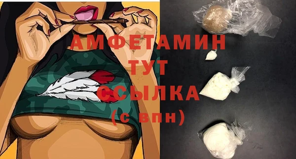 молекула духа Балахна