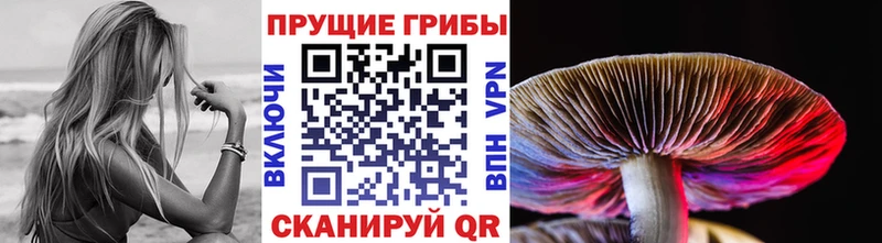 Купить где  Бугульма  Псилоцибиновые грибы мухоморы 
